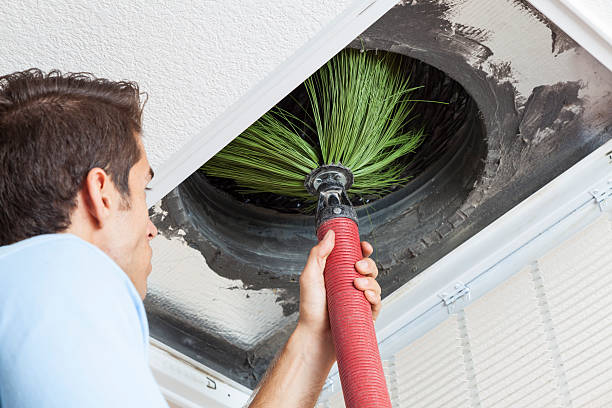 Air Duct Mold Removal in North Lakeport, CA