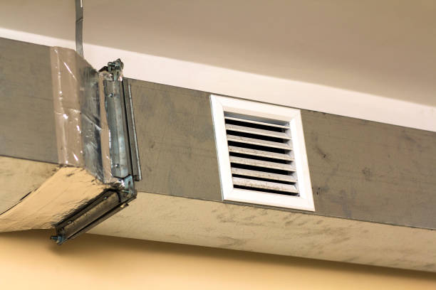 Best Professional Duct Cleaning Services  in North Lakeport, CA